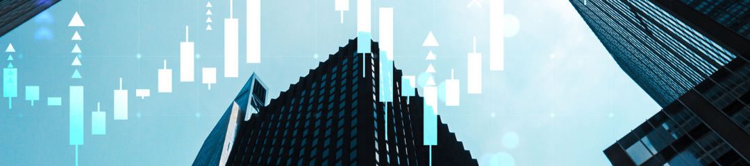 Board governance support for mid-cap listed companies